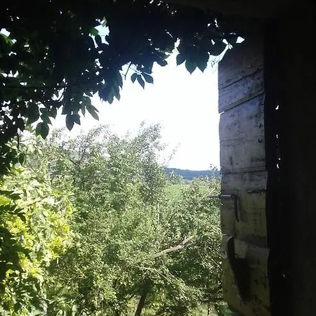 Летний дом Al Vigneto *