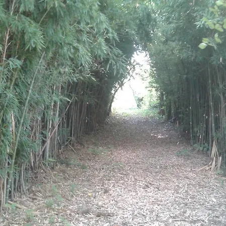 Al Vigneto