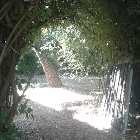 Al Vigneto *
