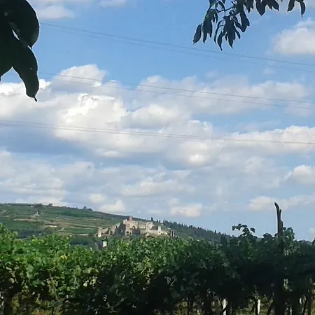 Al Vigneto